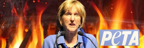 lcddiscoball2 Profile Banner