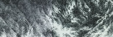 FlippinFries's profile banner image