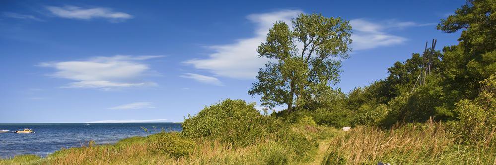 Andreas Progorovics banner