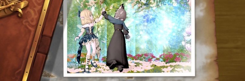 caro_dqx's profile banner image