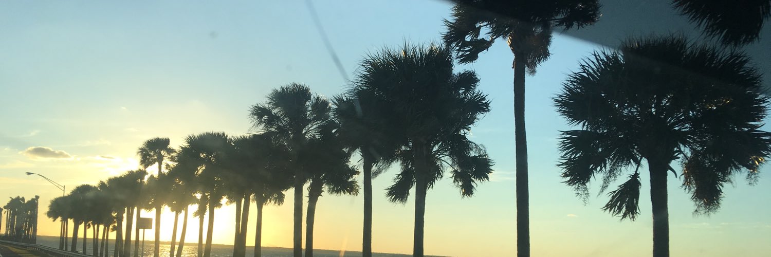 IdaMartinez14's profile banner image