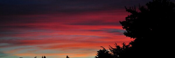 DukeShawZy Profile Banner