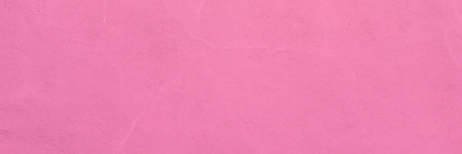 SophiaFazeli's profile banner image