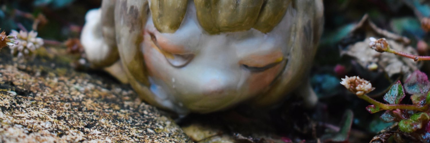 彗星虫🦋suiseimushi banner