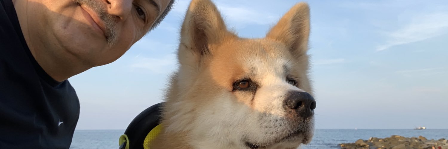 MusukoGungor's profile banner image