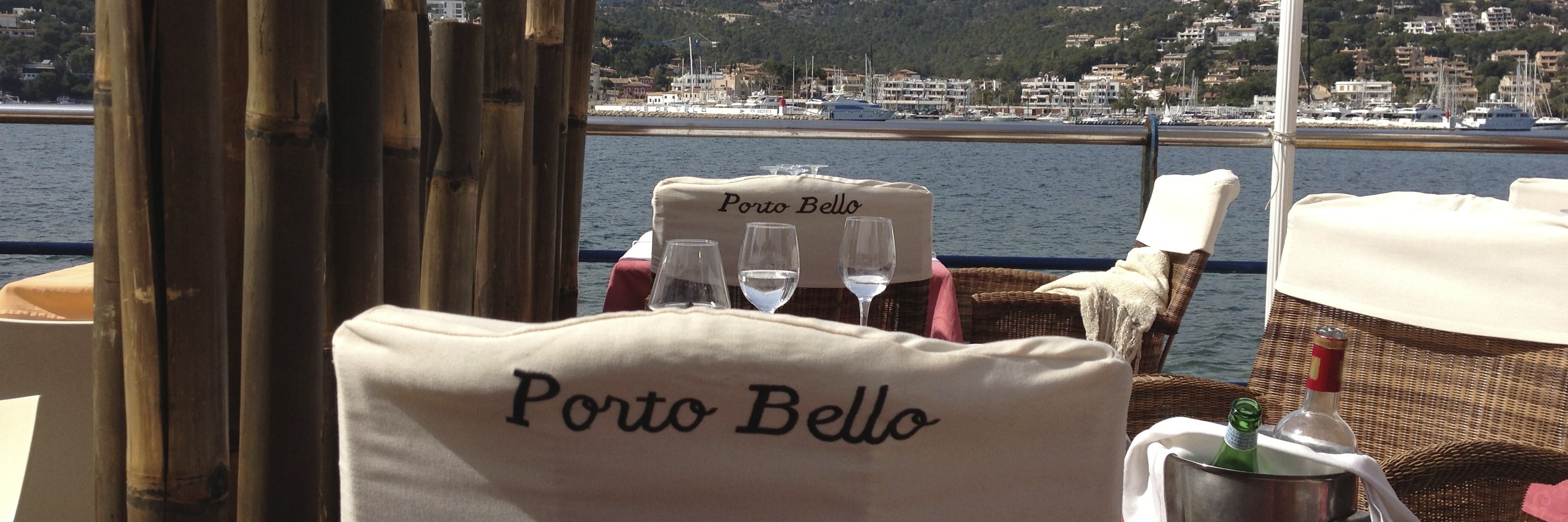 Andrea MacLean banner