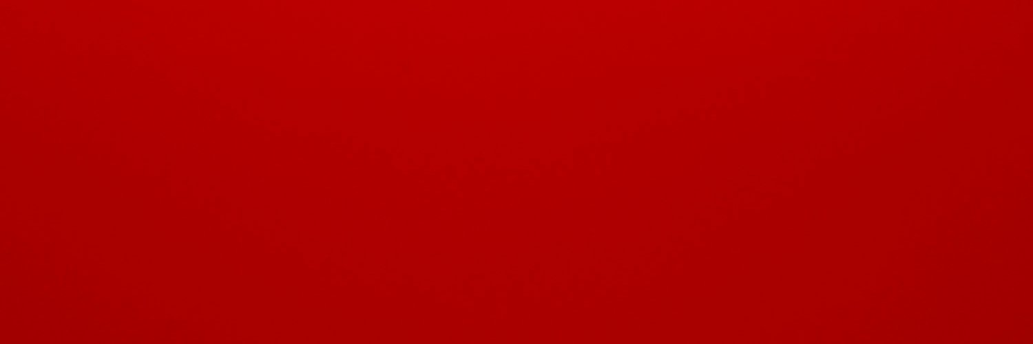 Bogan Intelligentsia's banner