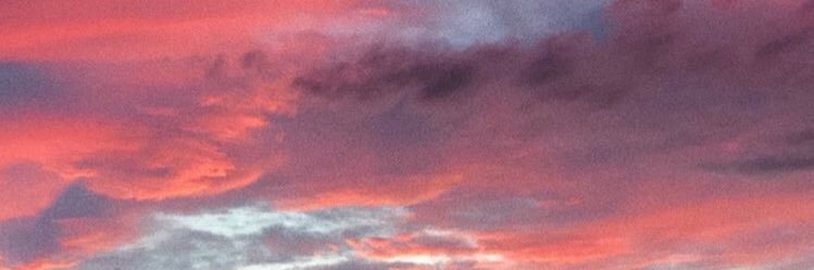 JoseephineHrt's profile banner image
