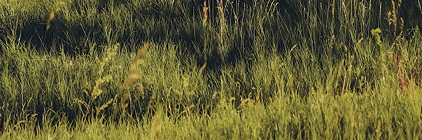 mlschwab's profile banner image