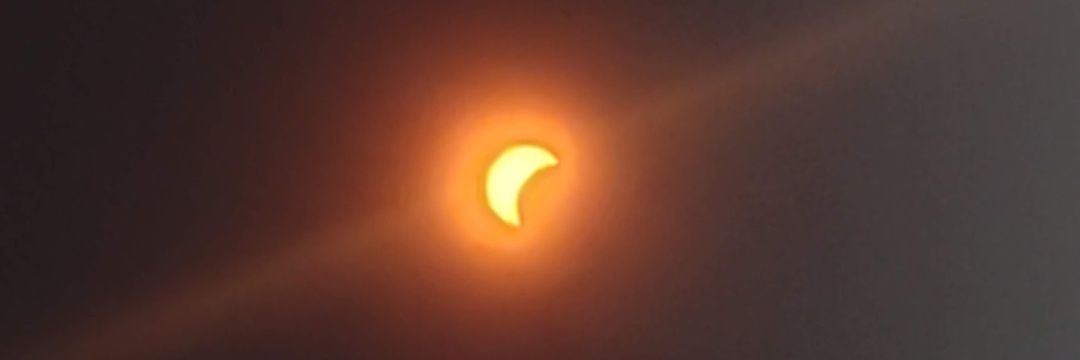 Apocalyzabeth banner