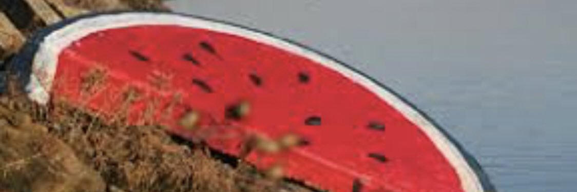 sanchy's profile banner image