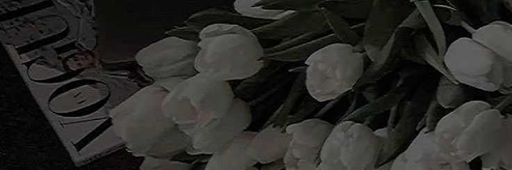 ruhtoa_'s profile banner image
