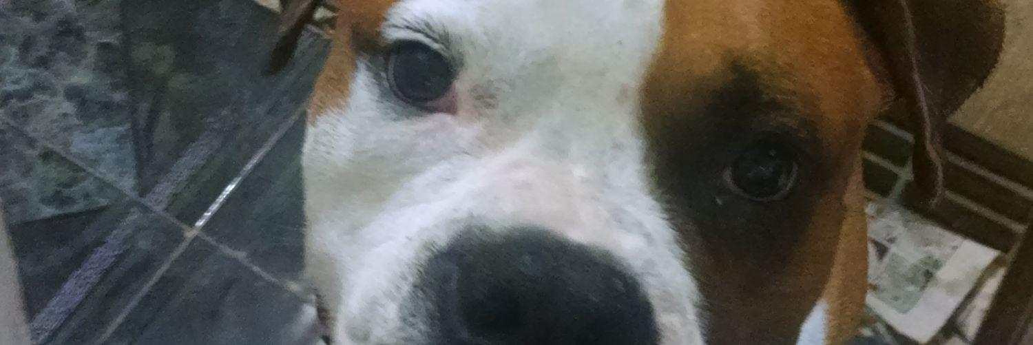 IngJcSoto's profile banner image