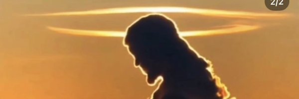 CripdoeCrypto Profile Banner