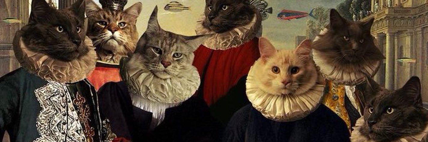 _notanoption_'s profile banner image