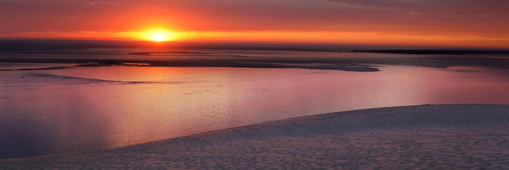 Patsouris David banner