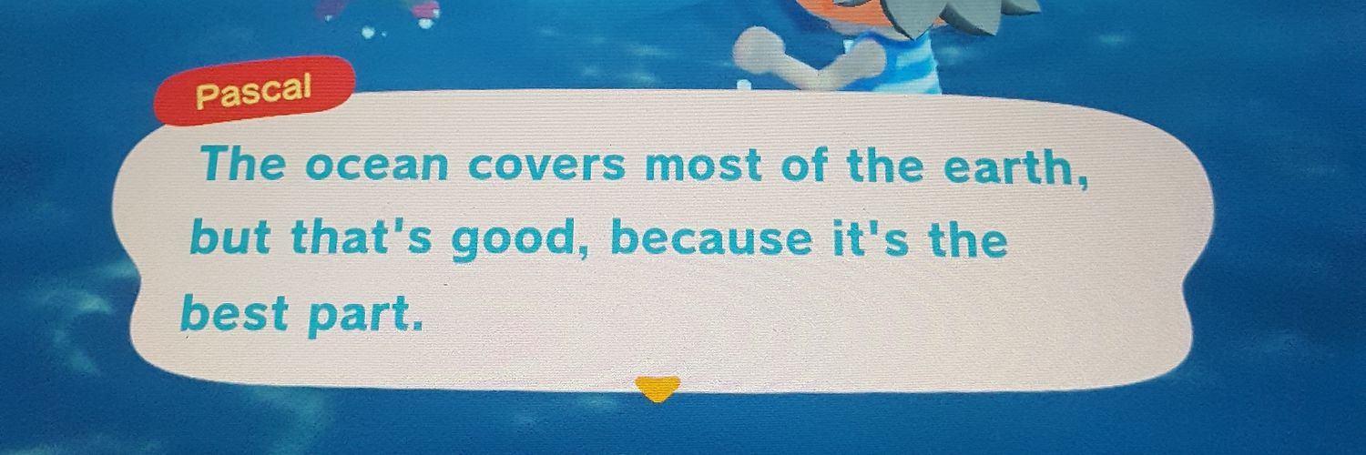 Kelly Hoolihan banner