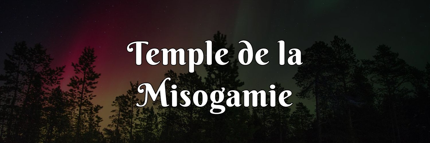 Temple Misogame banner