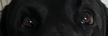 docbrown1000's banner