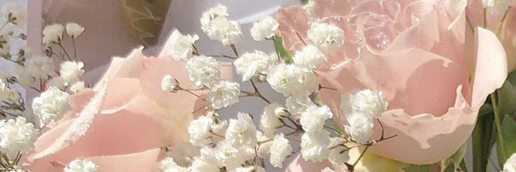 linotensia's profile banner image