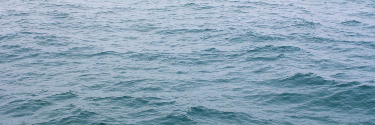 yevasuci's profile banner image