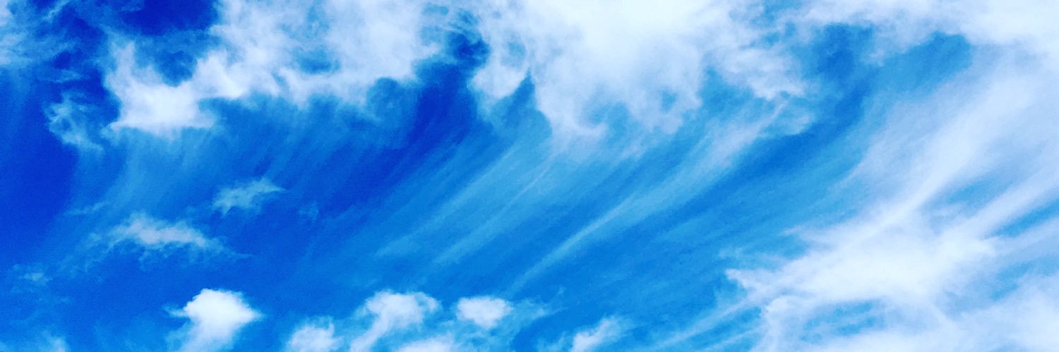 steflaval's profile banner image