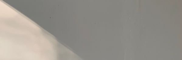  ︎︎ banner