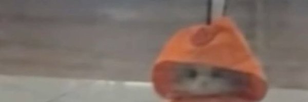 RandyyyTCG Profile Banner