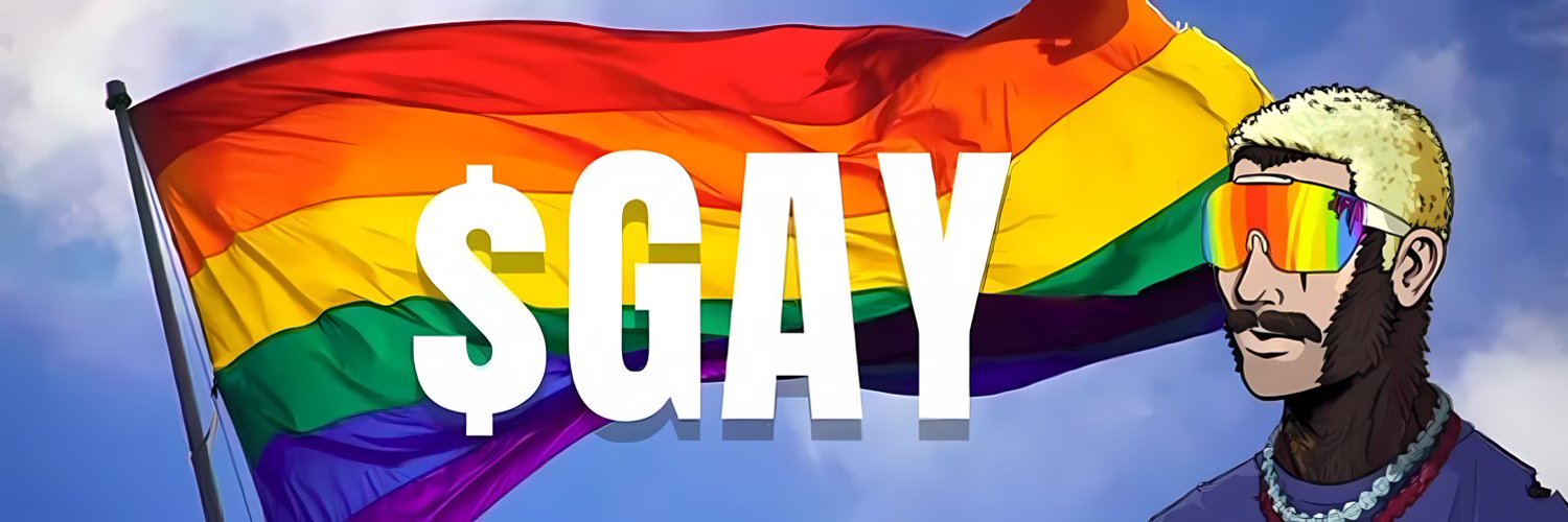 TokenGaySolana's profile banner image