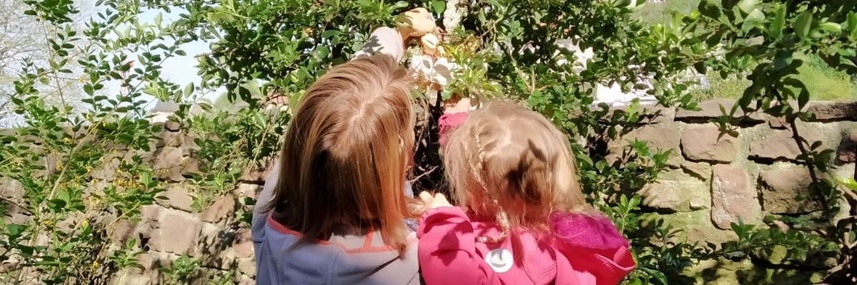 pixelsophie's profile banner image