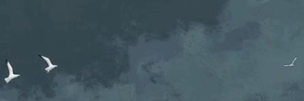 Ho___ho_7 Profile Banner
