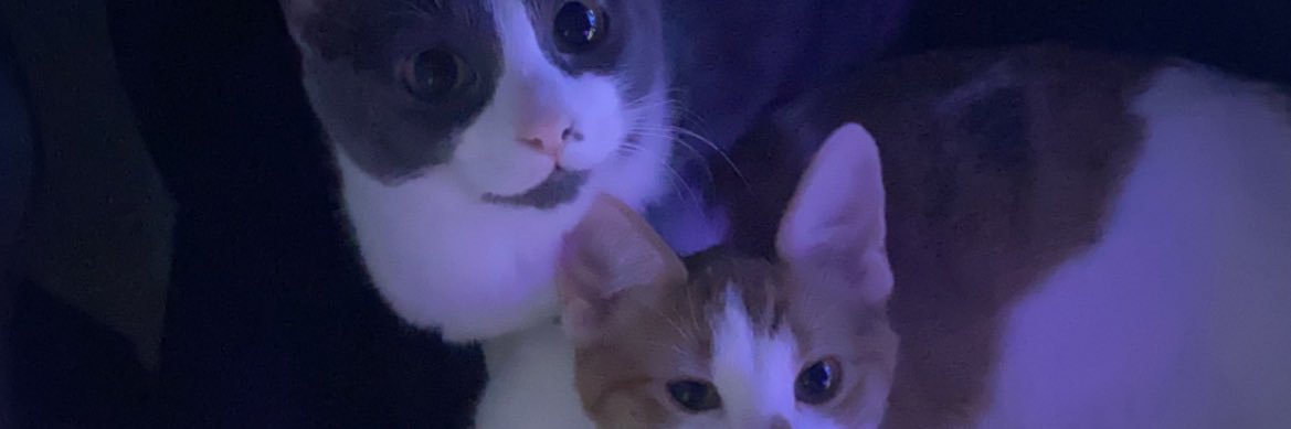 JakeKeenann's profile banner image