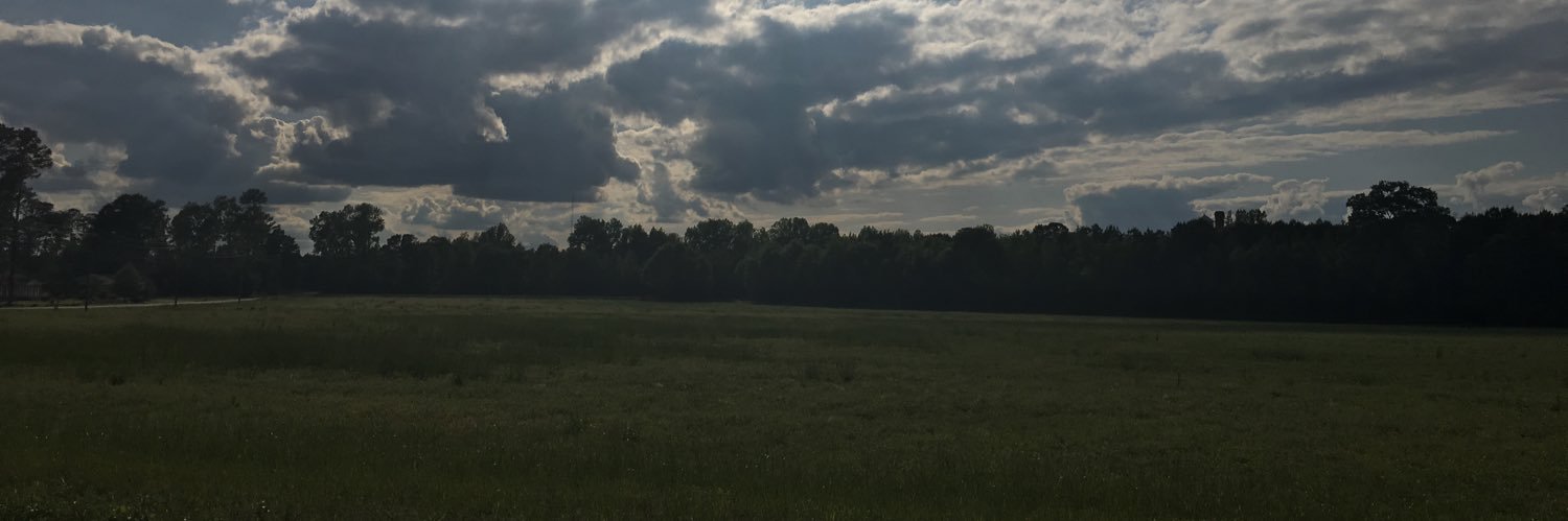dani_c00k's profile banner image
