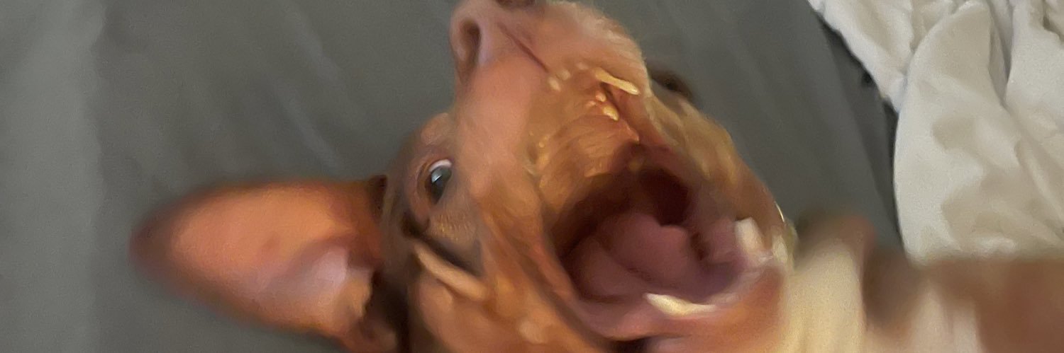iAmKayleigh18's profile banner image