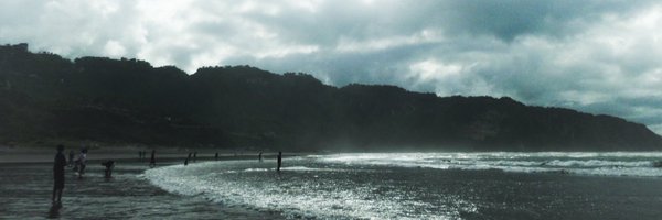 flulien Profile Banner