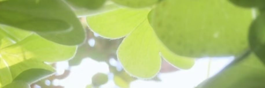 咚咚 banner