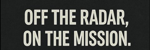 Insanity banner