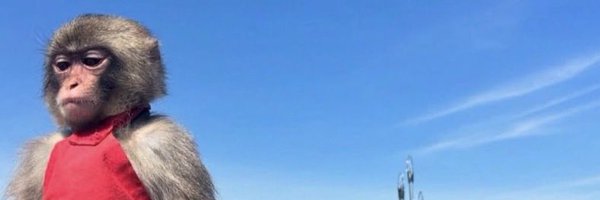 adexagain Profile Banner