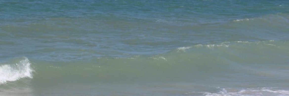 mar banner
