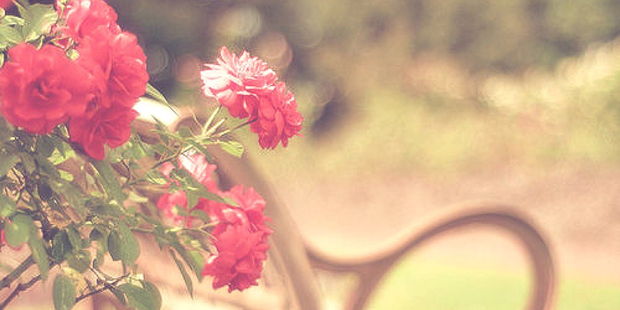 MommyQuotesx0's profile banner image