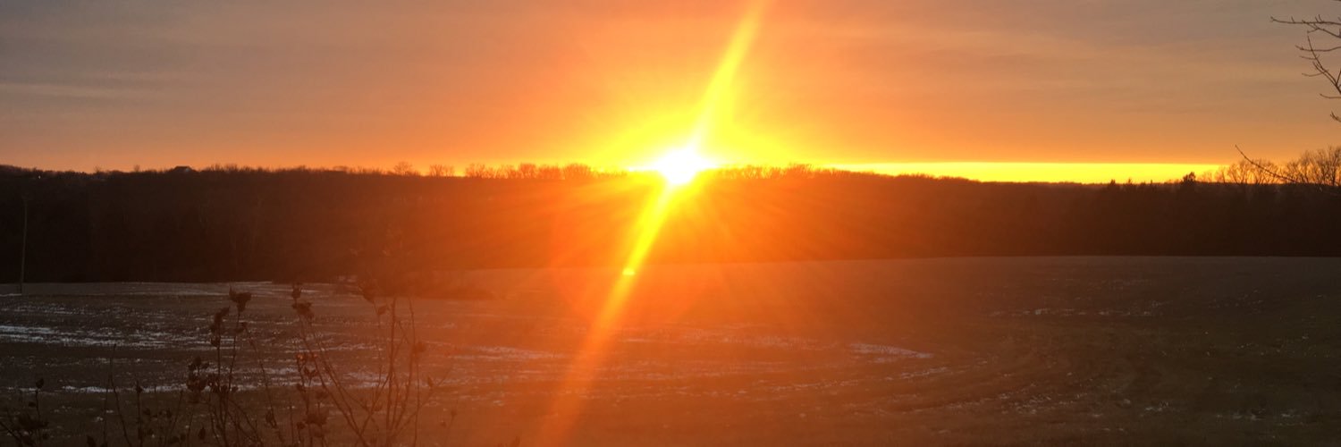 LauseE66's profile banner image