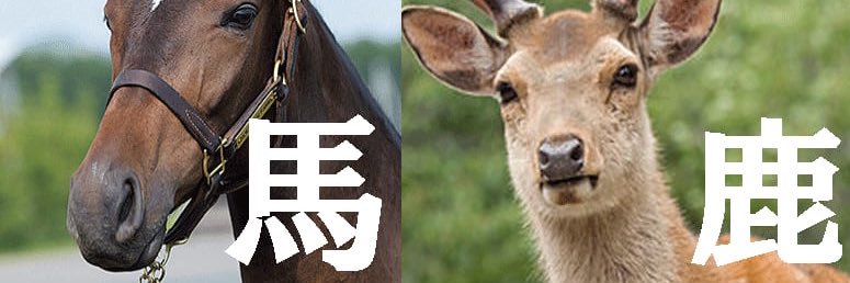 らぎさん banner