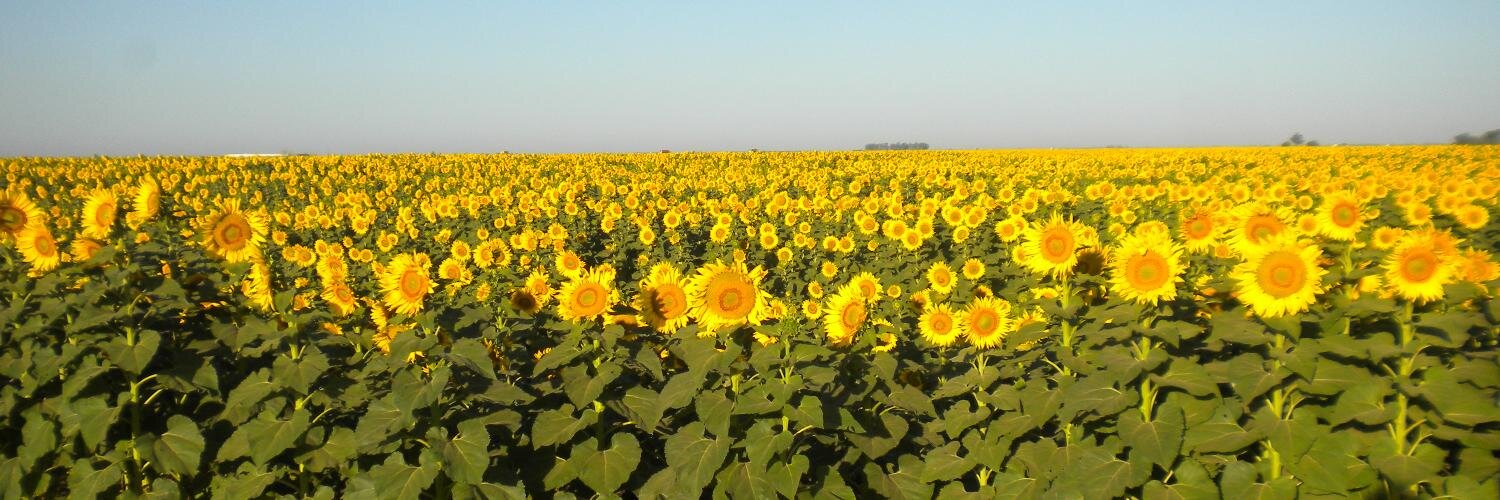 AgroconsultorCM's profile banner image