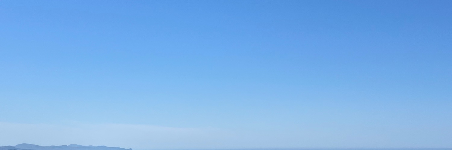 ladybard__'s profile banner image