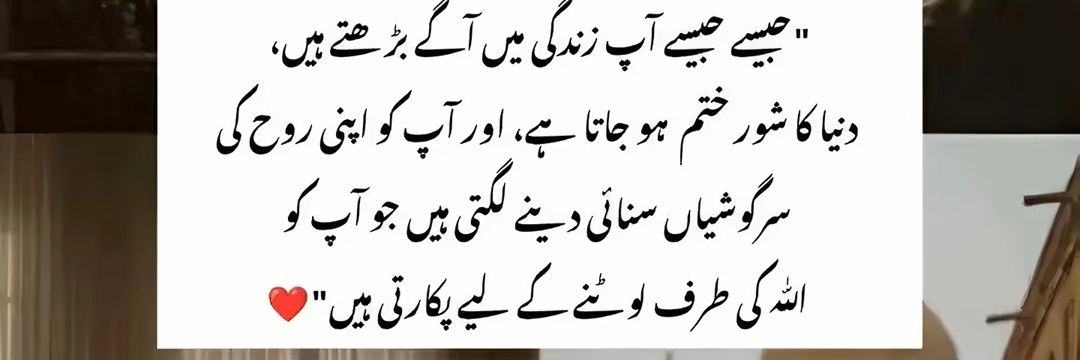 Hasnain Ali banner
