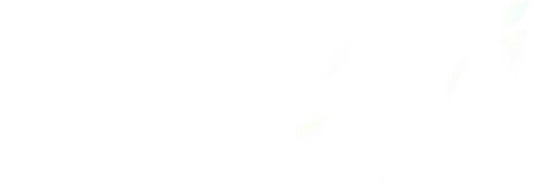🫧 banner