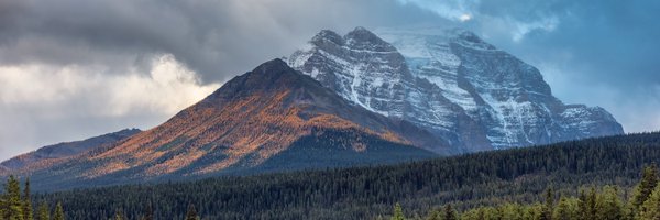 myPCAlberta Profile Banner