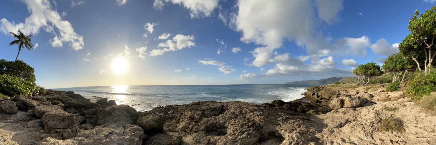 Halikona 🤙🏽 banner