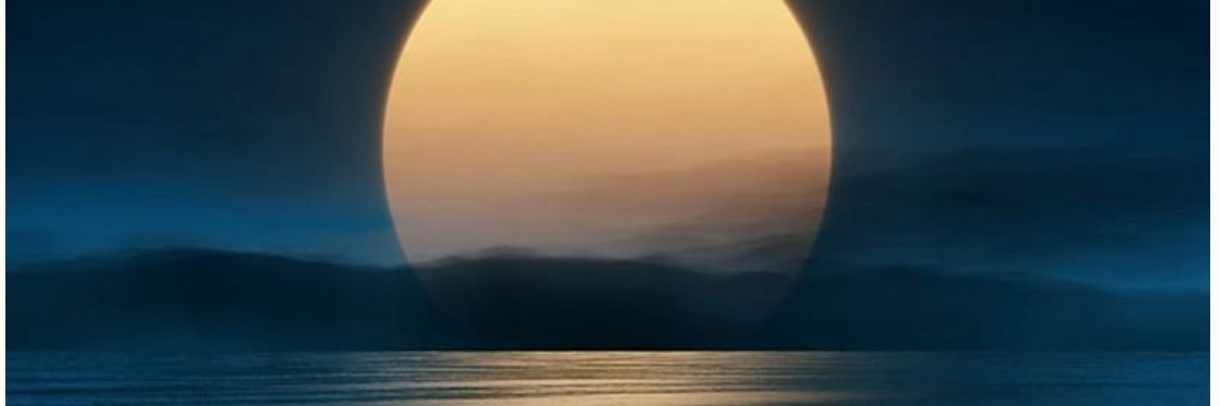 MNigthM's profile banner image