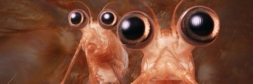 argueditass_'s profile banner image